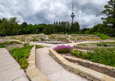 Tallinna Botaanikaaia mägiaed