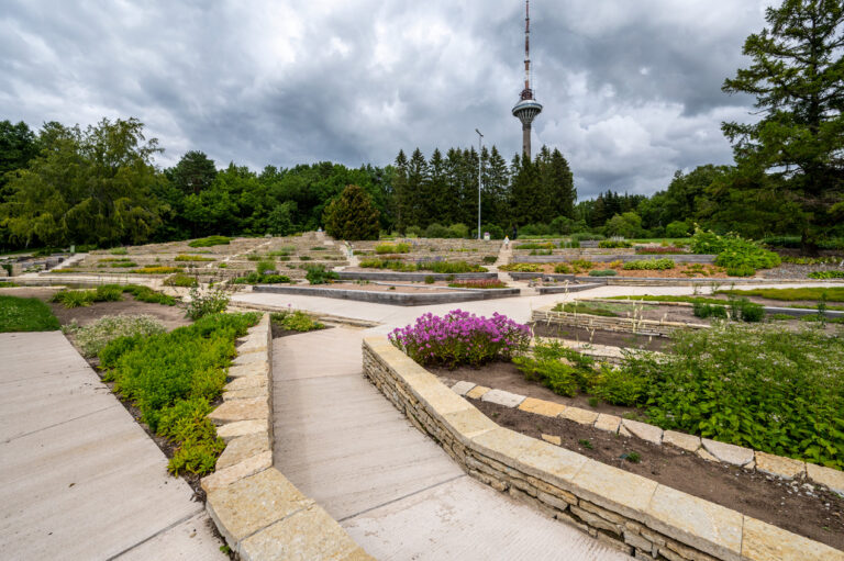 Tallinna Botaanikaaia mägiaed