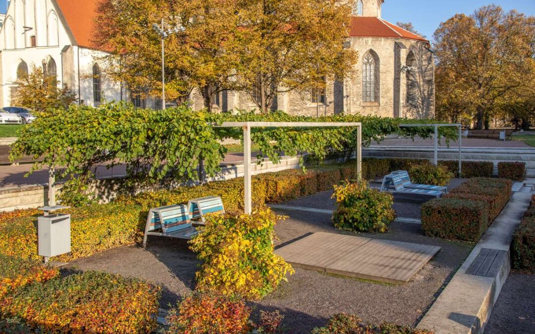 Harju tänav Tallinnas