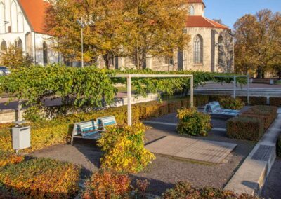 Harju tänav Tallinnas
