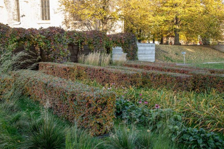 Harju tänav, Tallinnas