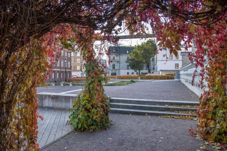 Harju tänav, Tallinnas