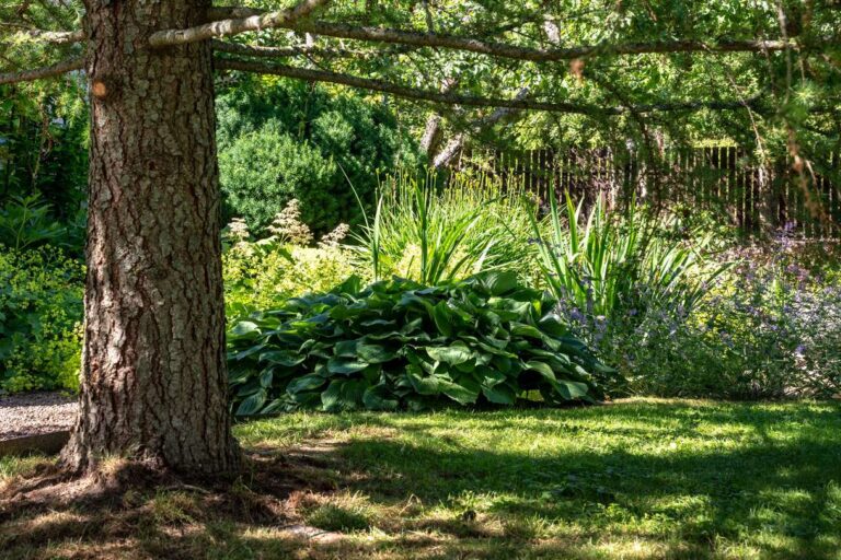 Eraaed Meriväljal