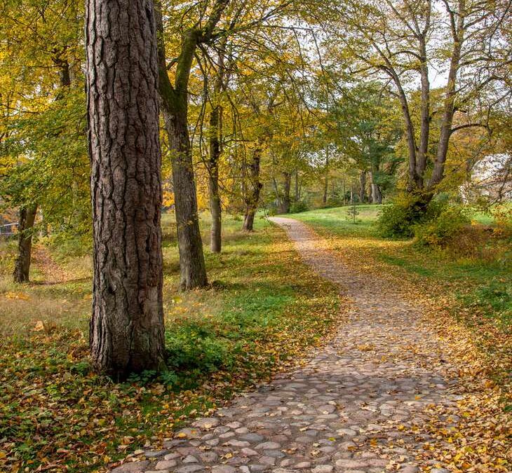 Keila-Joa mõisapark