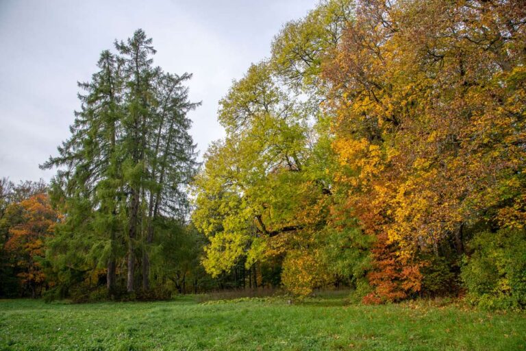 Keila-Joa mõisapark