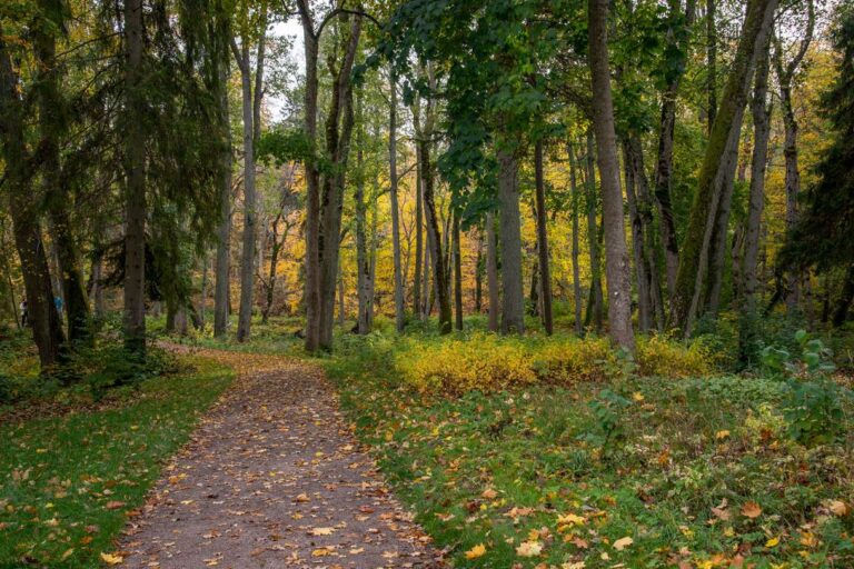 Keila-Joa mõisapark