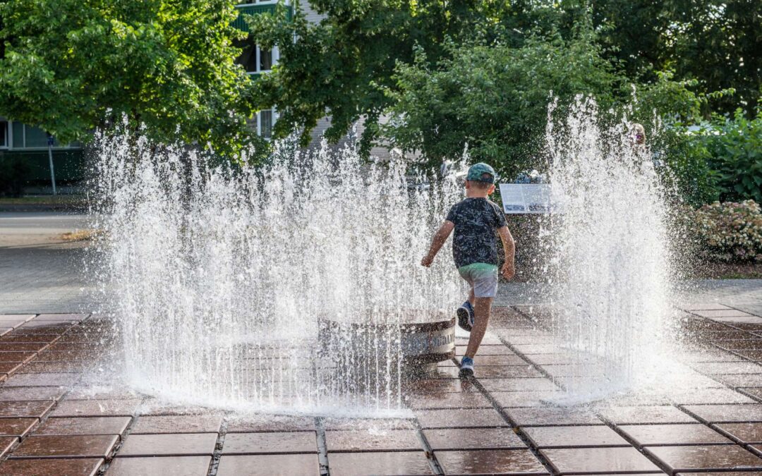 Kotkapoja haljasala Tallinnas