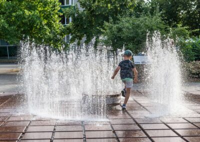 Kotkapoja haljasala Tallinnas