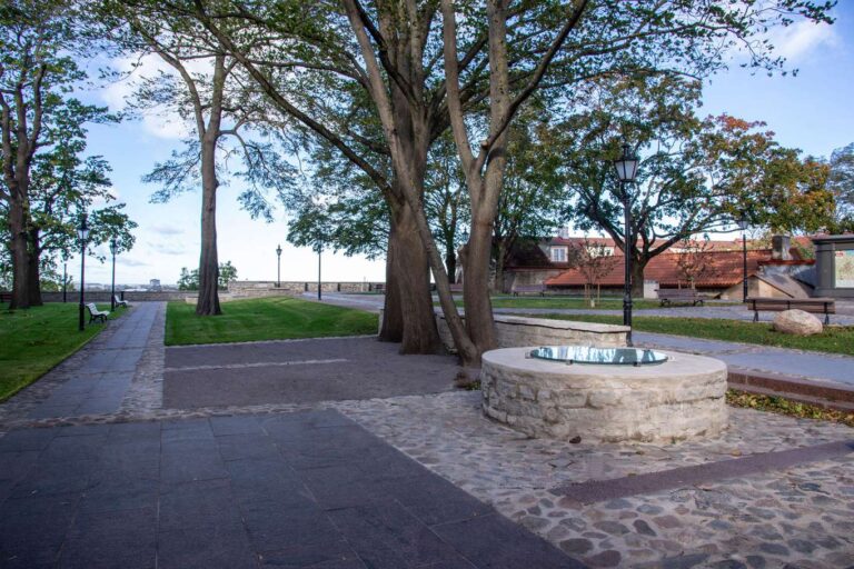 Piiskopiaed Tallinnas