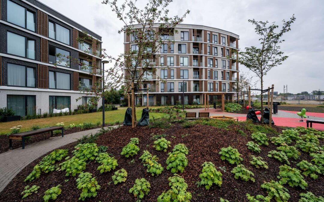 Pille tn 4 kortermajade hooviala Tallinnas