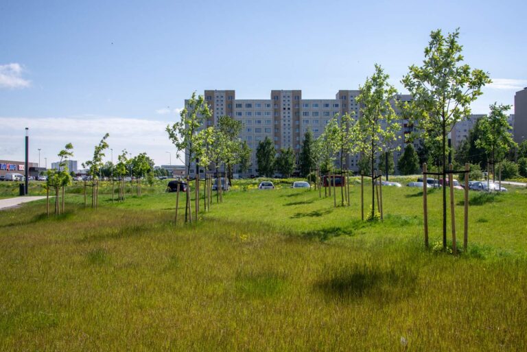 Priisle park Tallinnas