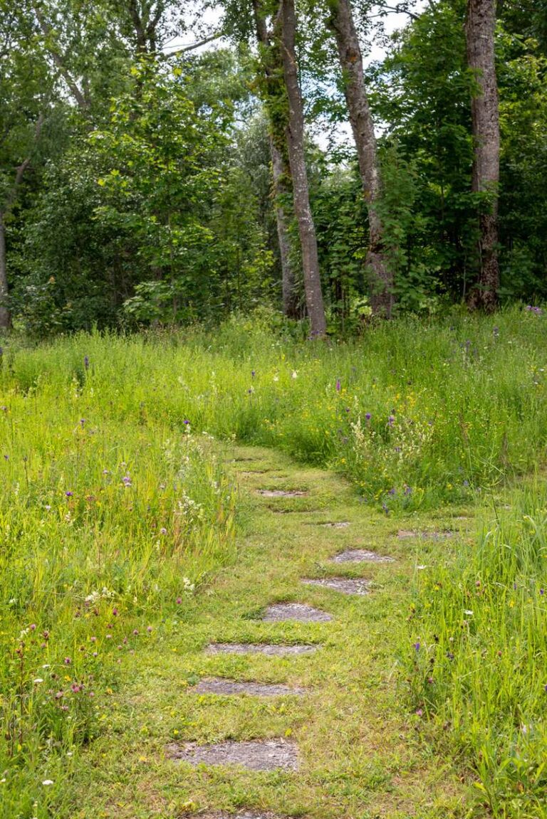 Vihterpalu mõis