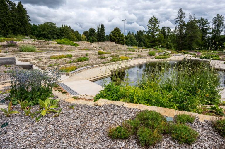 Tallinna Botaanikaaia mägiaed