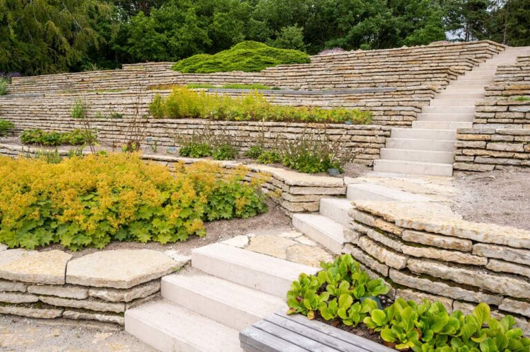 Tallinna Botaanikaaia mägiaed