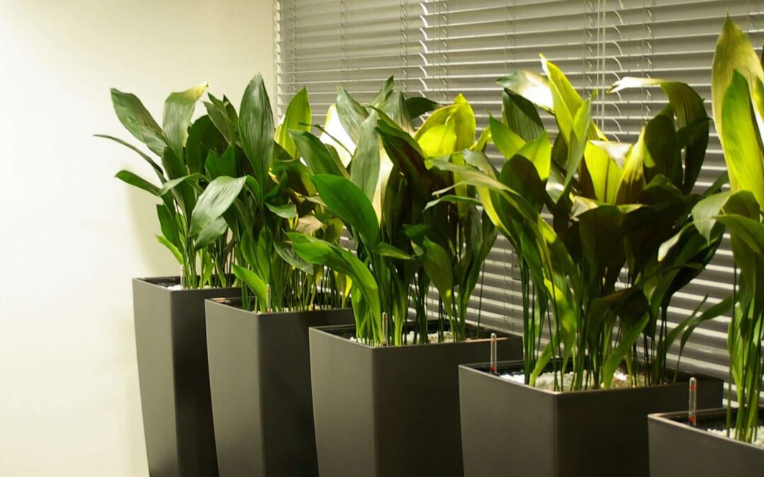 Kontori sisehaljastus