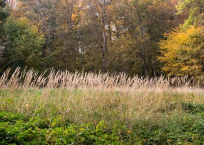 Keila-Joa mõisapark