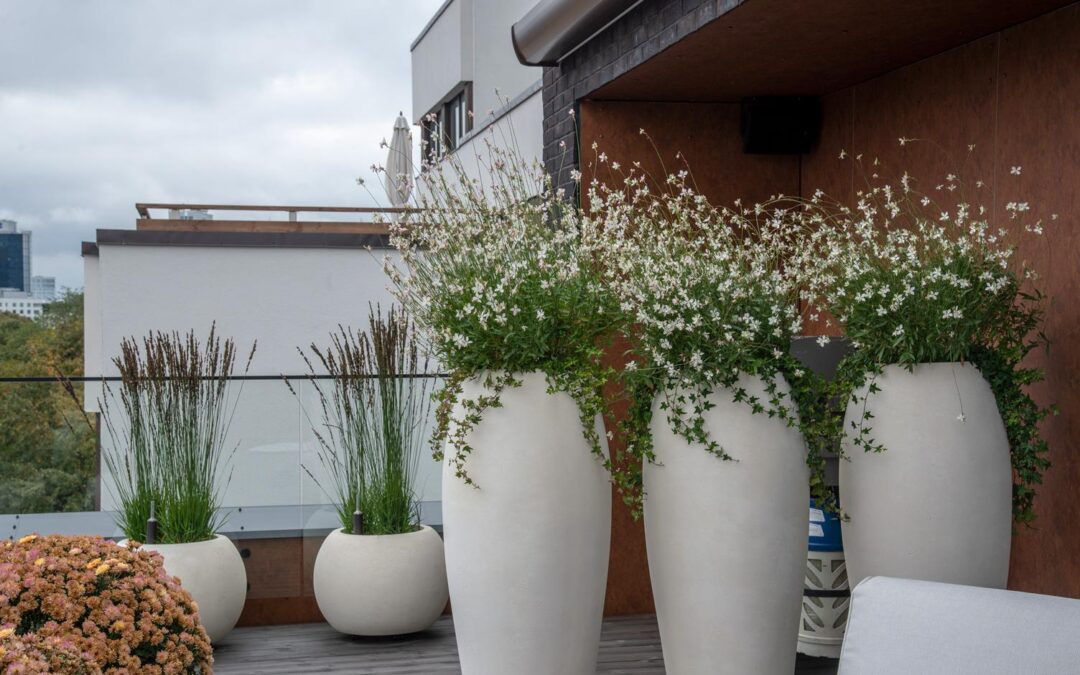 Terrass  Tallinna kesklinnas