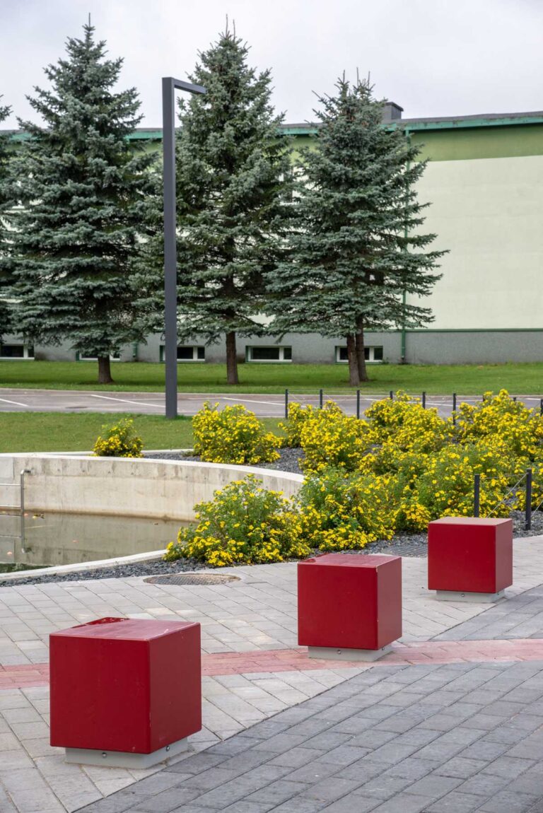 Väike-Maarja keskala